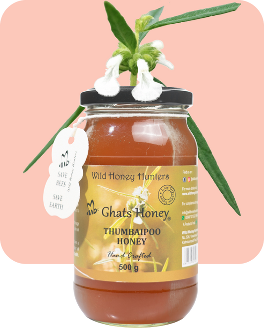 Thumbai Flower Honey - 500g
