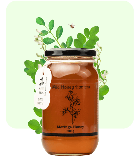 Moringa Honey - 500g